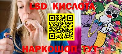 крисы Брянск