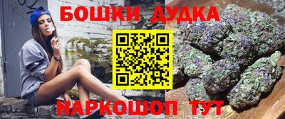 крисы Брянск