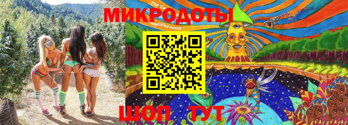 Карачаевск  Галлюциногенные грибы Psilocybine cubensis  Вход с VPN 